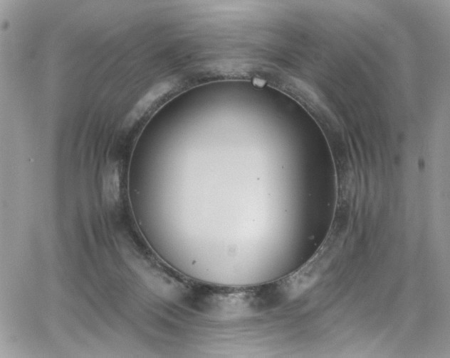 X0000065240120200602171434