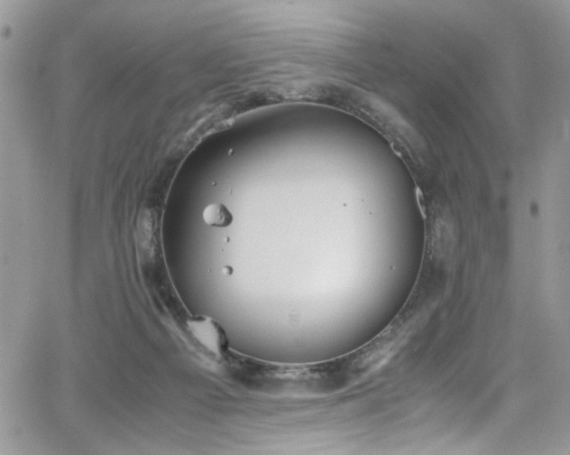 X0000065240121200602171434