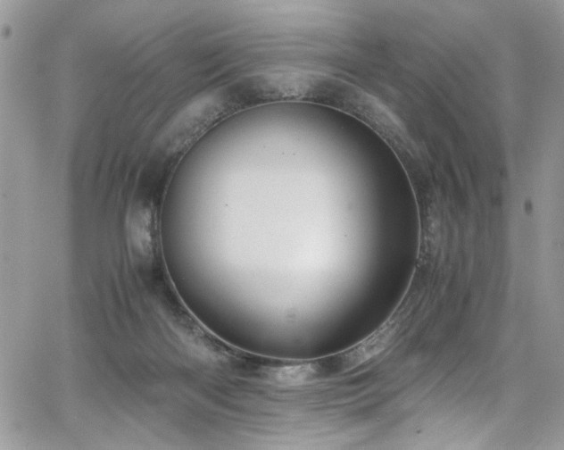 X0000065240122200602171434