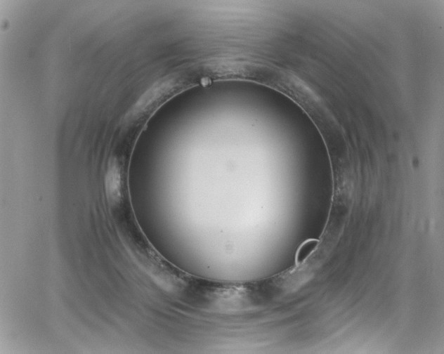 X0000065240124200602171434