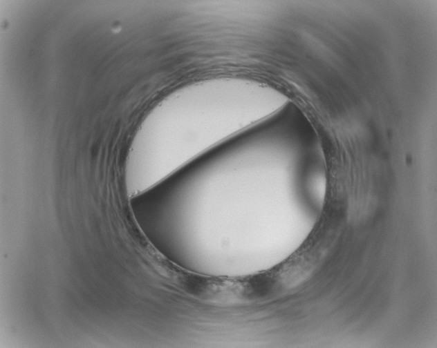 X0000065240125200602171434