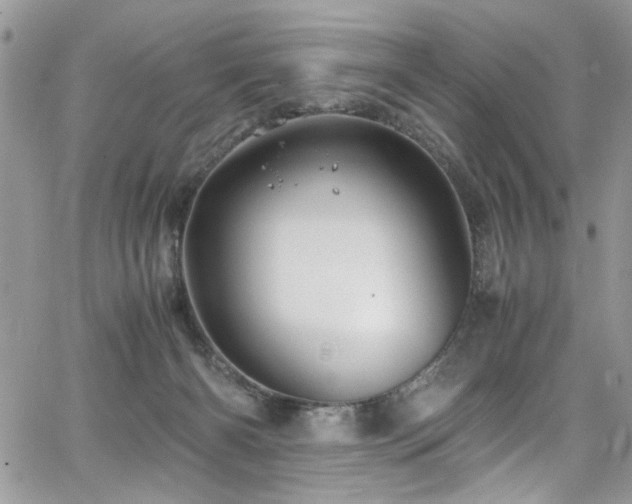 X0000065240126200602171434