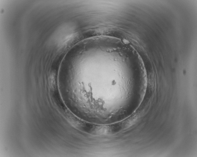 X0000065240127200602171434