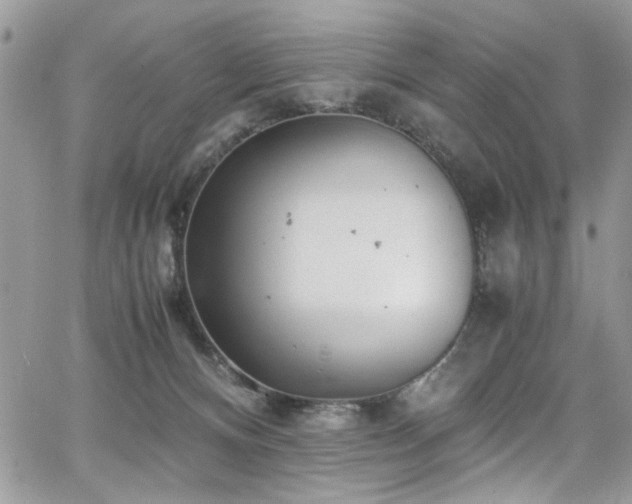 X0000065240128200602171434