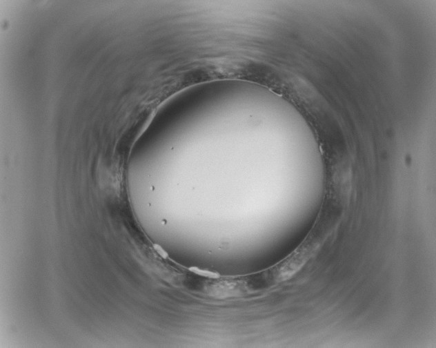 X0000065240129200602171434