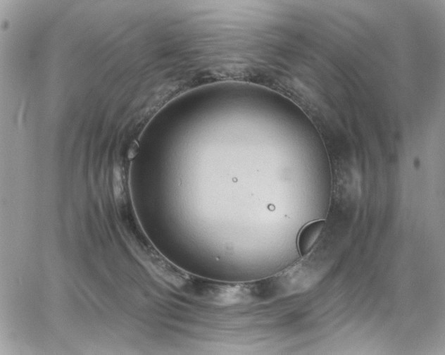 X0000065240130200602171434