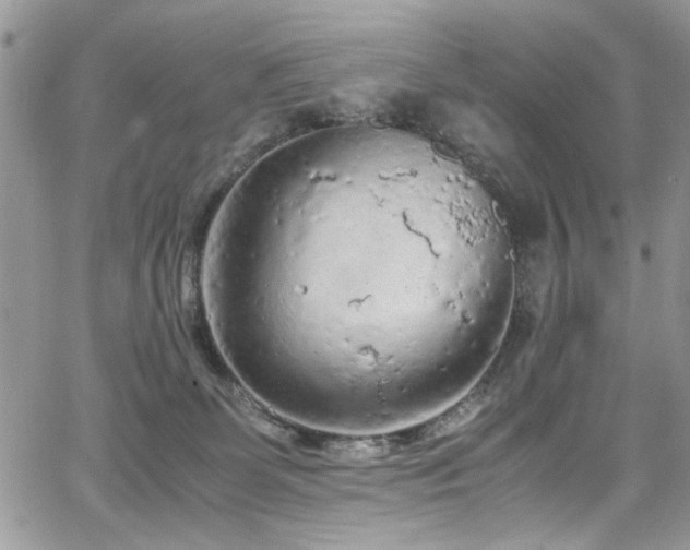 X0000065240131200602171434