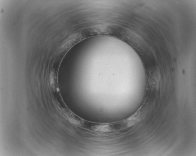 X0000065240132200602171434