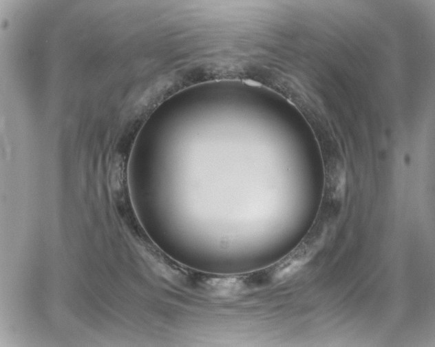 X0000065240133200602171434