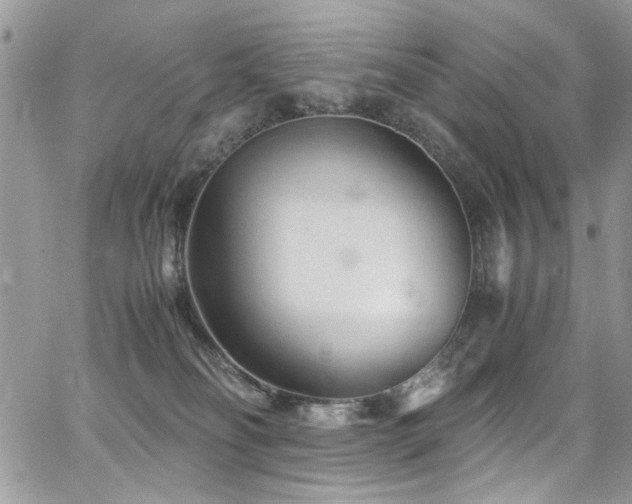 X0000065240134200602171434