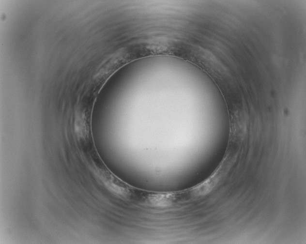 X0000065240136200602171433