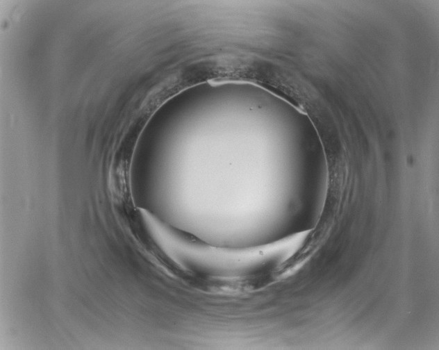 X0000065240137200602171433