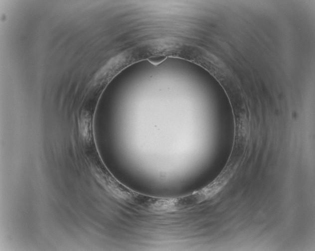 X0000065240138200602171433