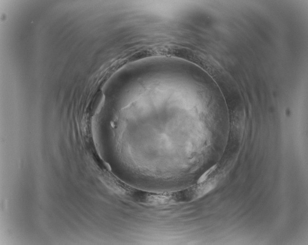 X0000065240139200602171433