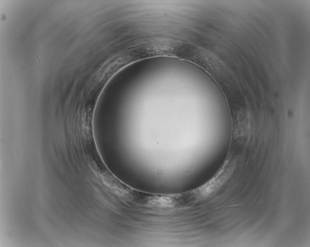 X0000065240140200602171433