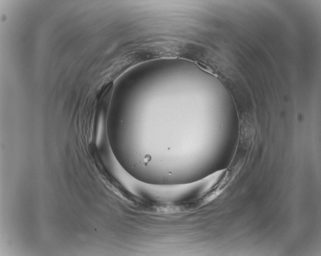 X0000065240141200602171433