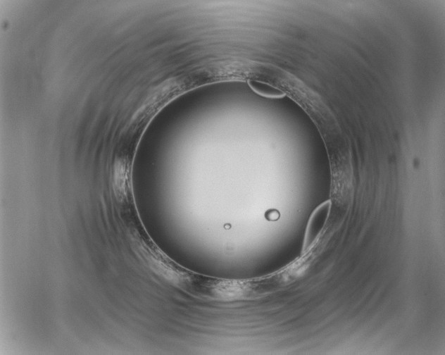 X0000065240142200602171433