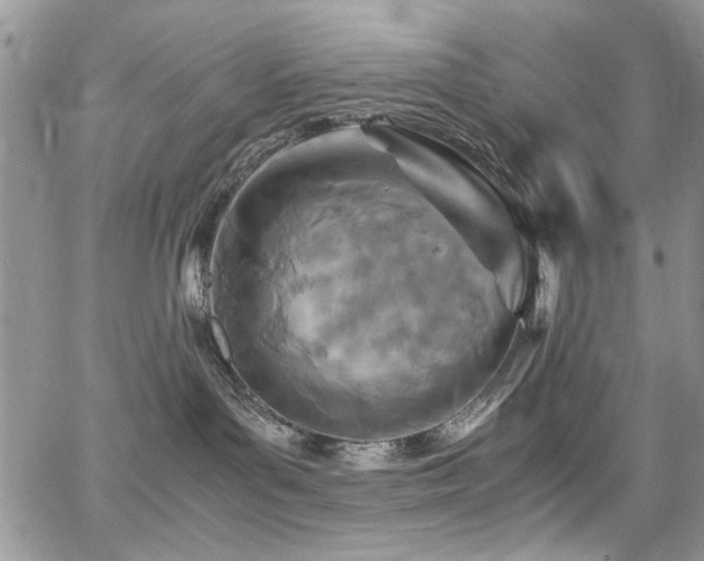 X0000065240143200602171433