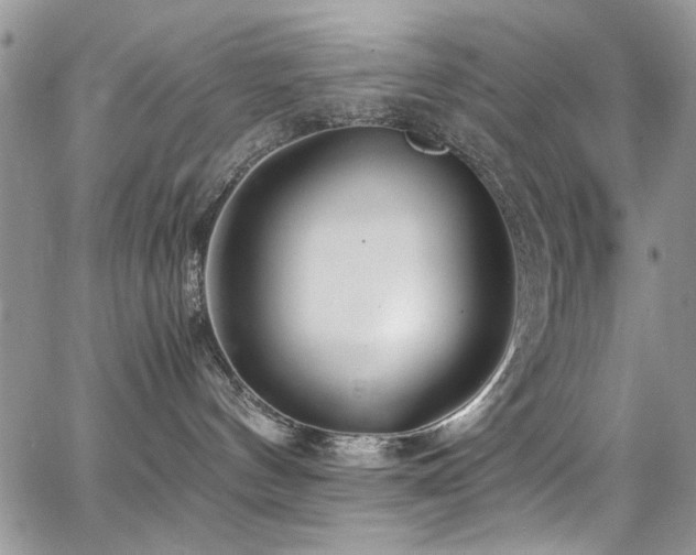 X0000065240144200602171433