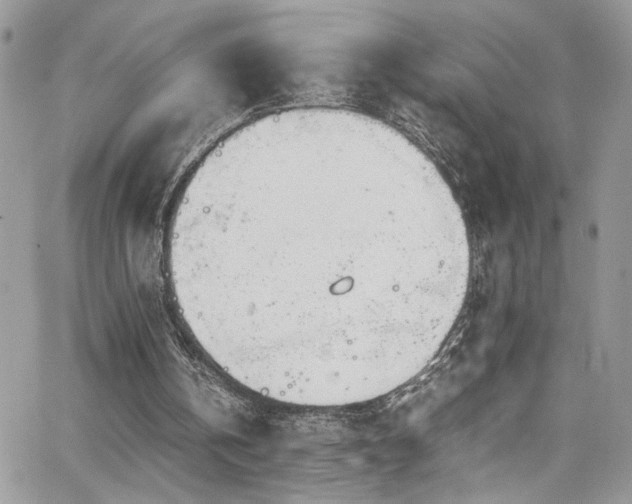 X0000065240146200602171433