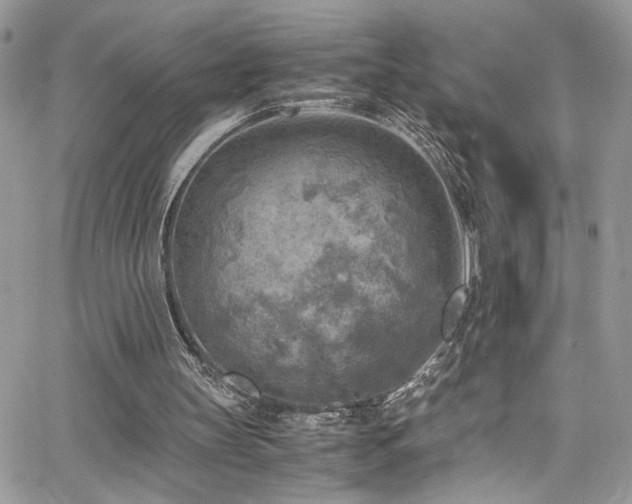 X0000065240147200602171433