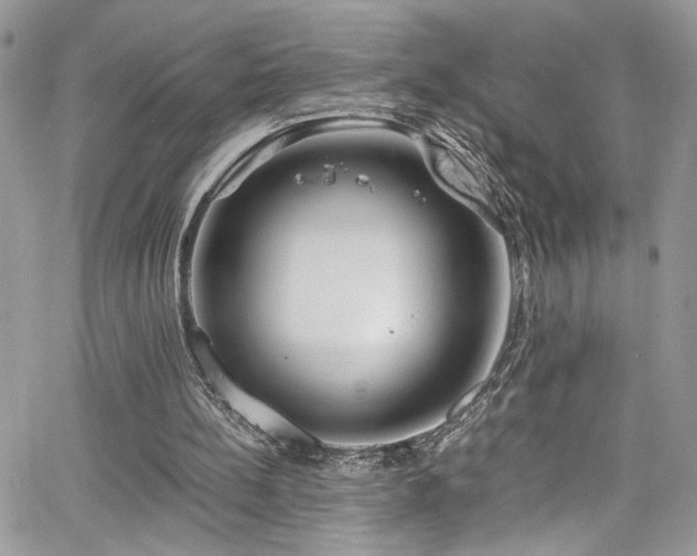 X0000065240148200602171433