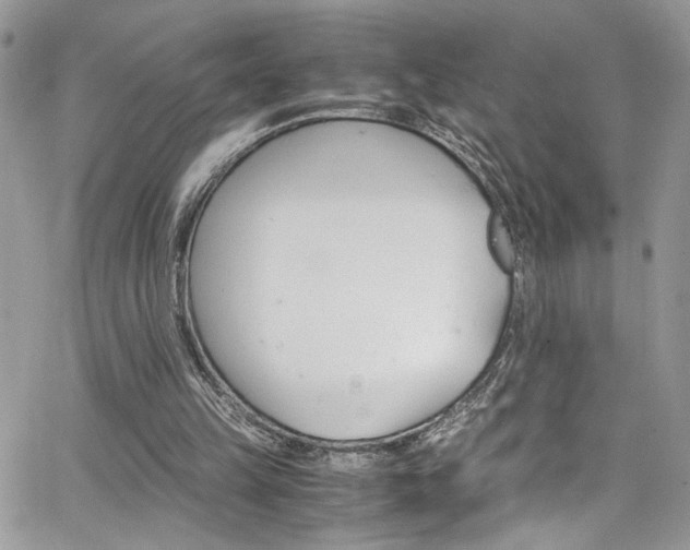 X0000065240149200602171433