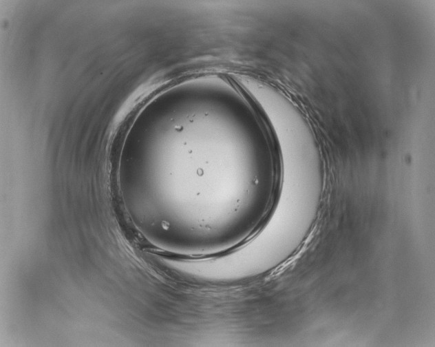 X0000065240150200602171433