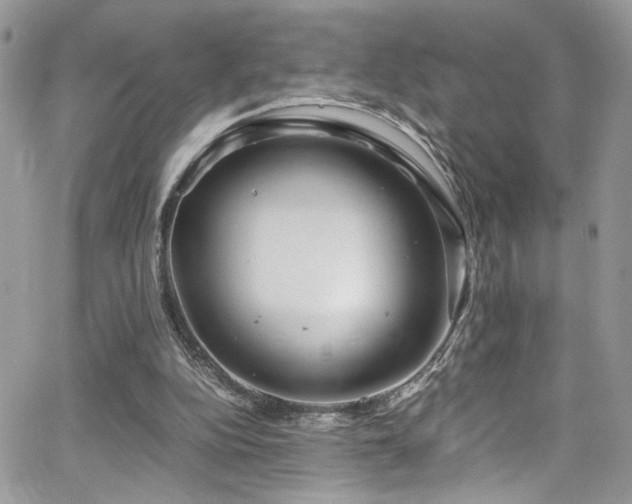 X0000065240152200602171433