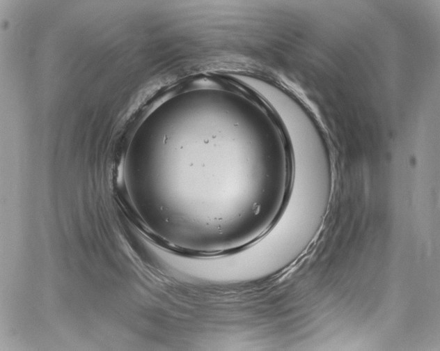 X0000065240154200602171433