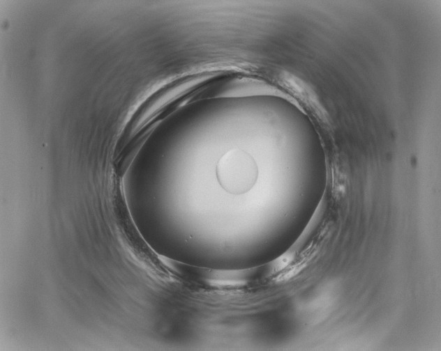 X0000065240156200602171433