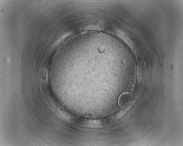 X0000065240157200602171433