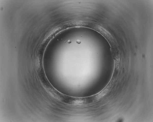 X0000065240158200602171433