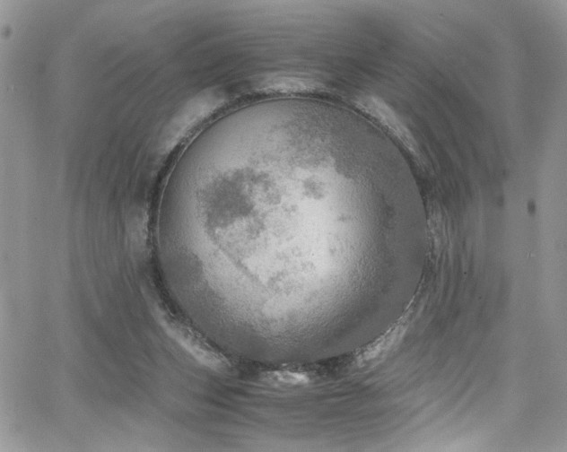 X0000065240159200602171433