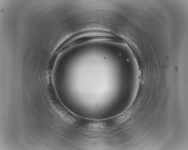 X0000065240160200602171433