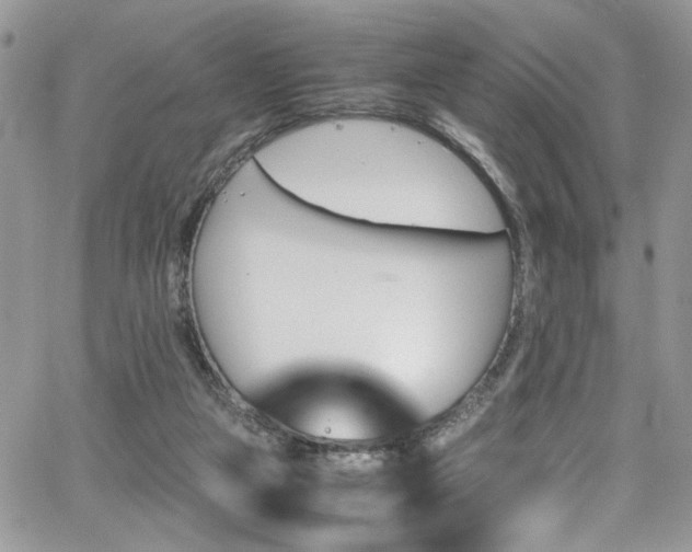 X0000065240161200602171433