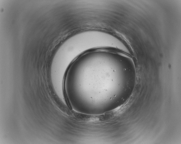 X0000065240162200602171433