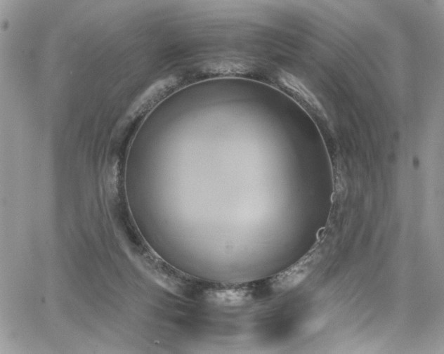 X0000065240163200602171433