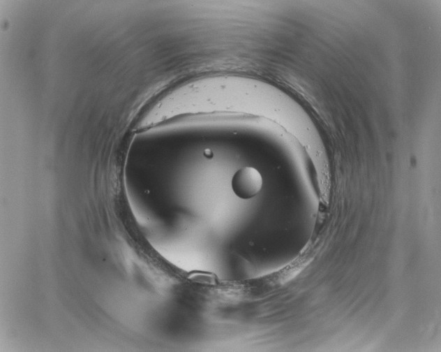 X0000065240164200602171433