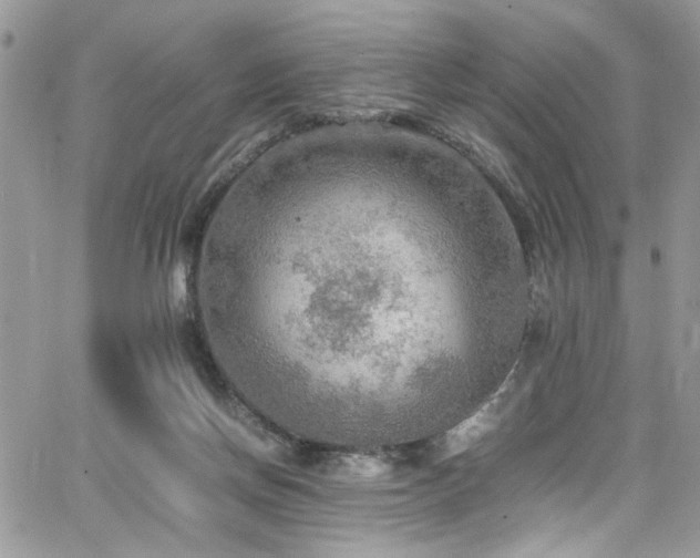 X0000065240166200602171433