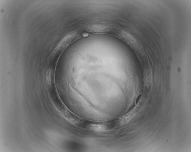 X0000065240167200602171433