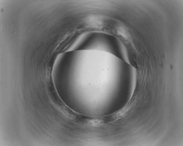 X0000065240168200602171433