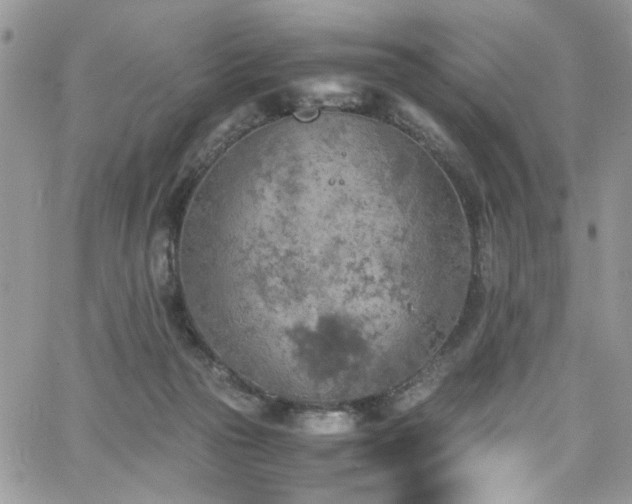 X0000065240169200602171433