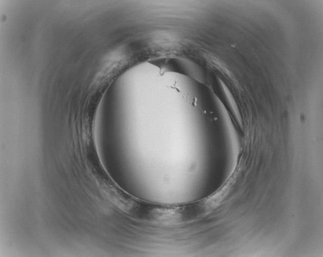 X0000065240170200602171433