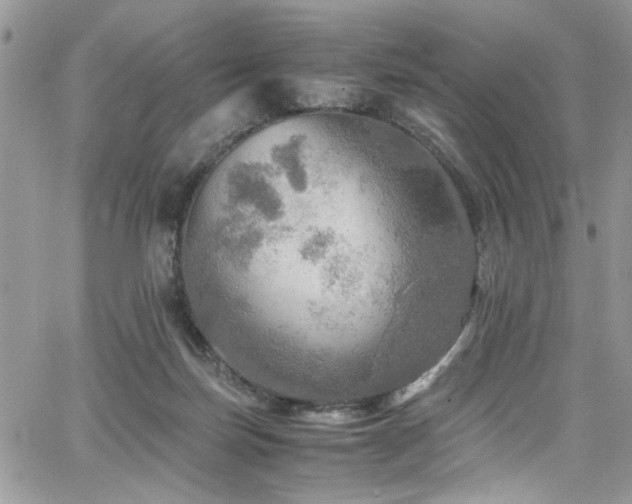 X0000065240171200602171433