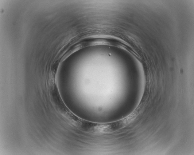 X0000065240172200602171433