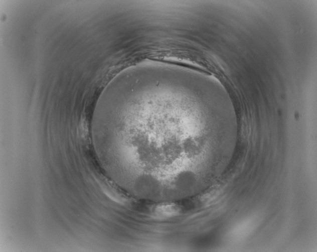 X0000065240173200602171433