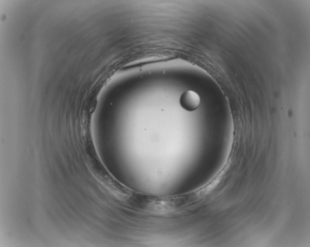 X0000065240174200602171433