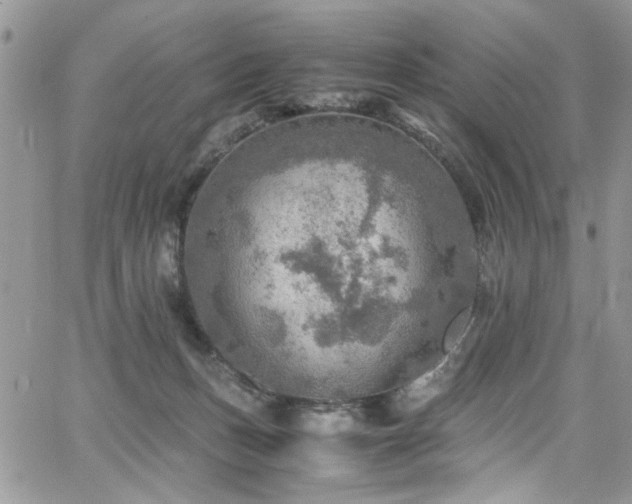 X0000065240175200602171433