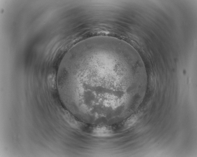 X0000065240177200602171433